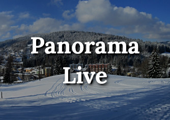 Panorama Live